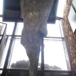 Monte Lucco - Castel Firmian